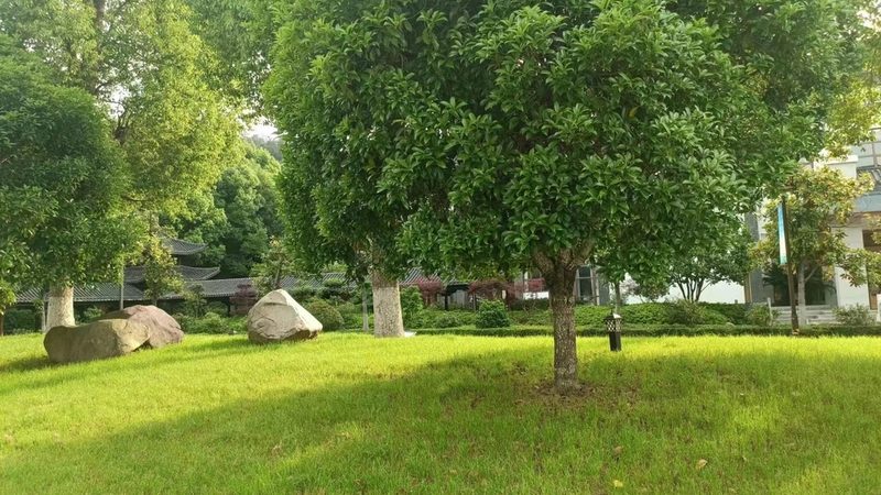 山东铸信通网络有限公司